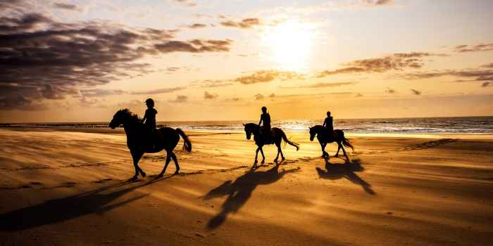 Aventura a Caballo en Caleta del Fuste